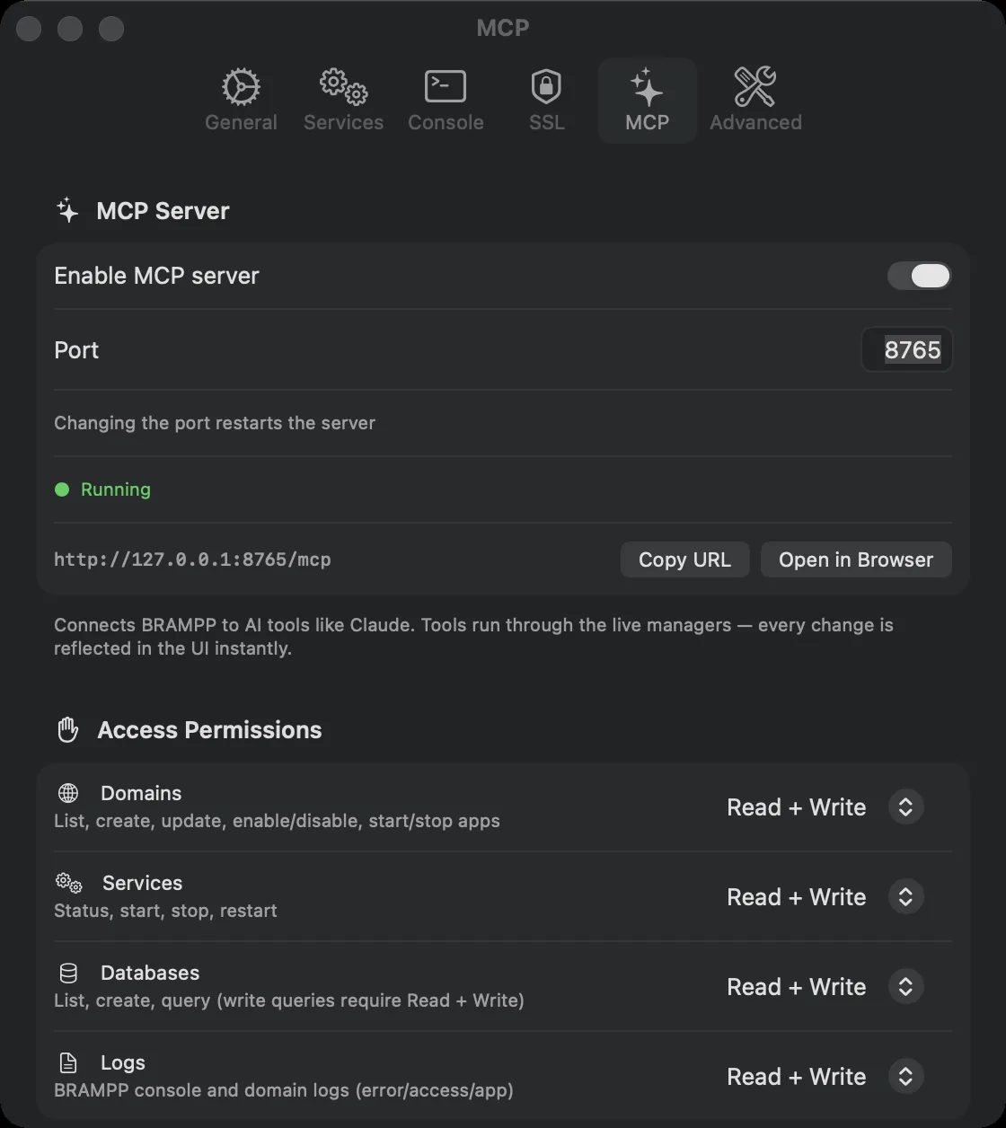 BRAMPP settings — built-in MCP server with status, endpoint URL and access permissions